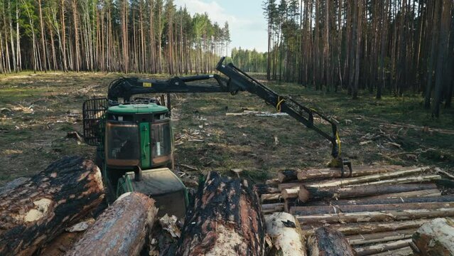 A Modern Knuckle Boom Forestry Loader Machine is operating in the woods. A Forestry Loader is picking the wood logs from the Pile. The Forestry Loader is placing the logs on the ground. Wood Industry.