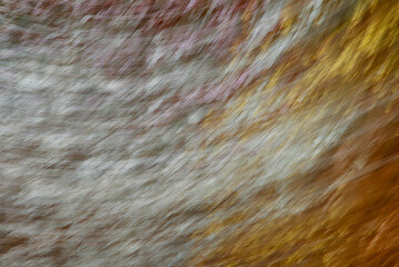 London, UK, 3 March 2024:  Abstract nature blur using intentional camera movement