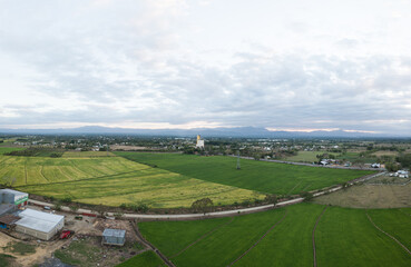 Campos de Arroz 