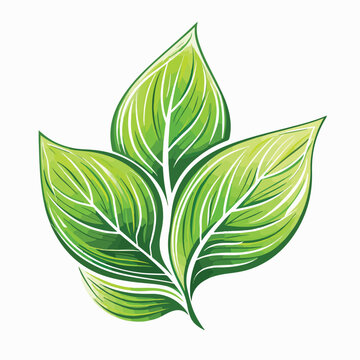 Green leaves in cartoon, doodle style. Image for t-shirt, web, mobile apps and ui. Isolated 2d vector illustration in logo, icon, sketch style, Eps 10. AI Generative