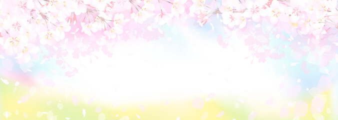 Obraz na płótnie Canvas 桜と菜の花畑　春の空