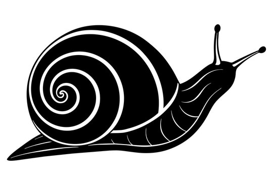 sea snail silhouette vector illustration