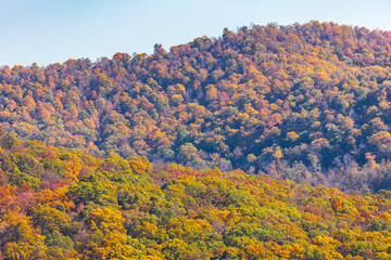 Autumn scenery along The Pig Trail Scenic Byway.