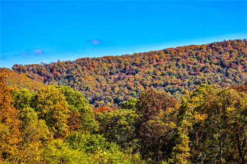 Autumn scenery along The Pig Trail Scenic Byway.