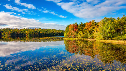 Vibrant trees and landscape by the lake. Nova Scotia, Canada