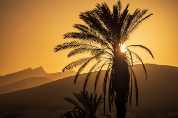 sunset, canadian islands, fuerteventura, warm colours, palms, golden hour serenity, evening glow, evening, travel photography, traveling, spain, vacation in spain, wakacje na wyspach kanaryjskich, sun