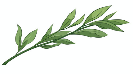 Hand drawn green long leaf of acai plant sketch style