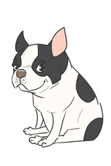This is an illustration of a “pied” French bulldog in a 