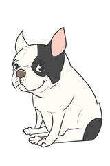 This is an illustration of a “black pied” French bulldog in a 