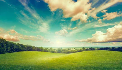 Tuinposter 青空と草原 © sachiyoshi