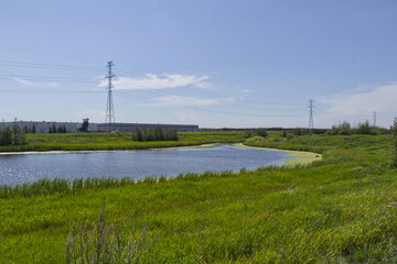 Pylypow Wetlands in the Summer