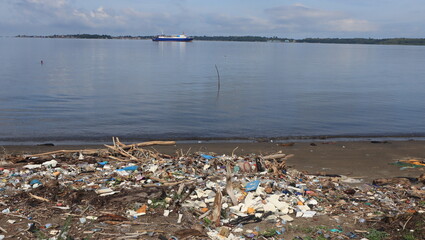 Garbage on the beach, wood and plastic.