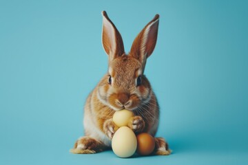 Fototapeta premium Brown bunny with assorted eggs on blue backdrop - Brown bunny with a collection of eggs suggesting Easter's merriment and variety in a tranquil blue setting