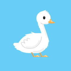 Cute duck isolated on blue background. Vector illustration.