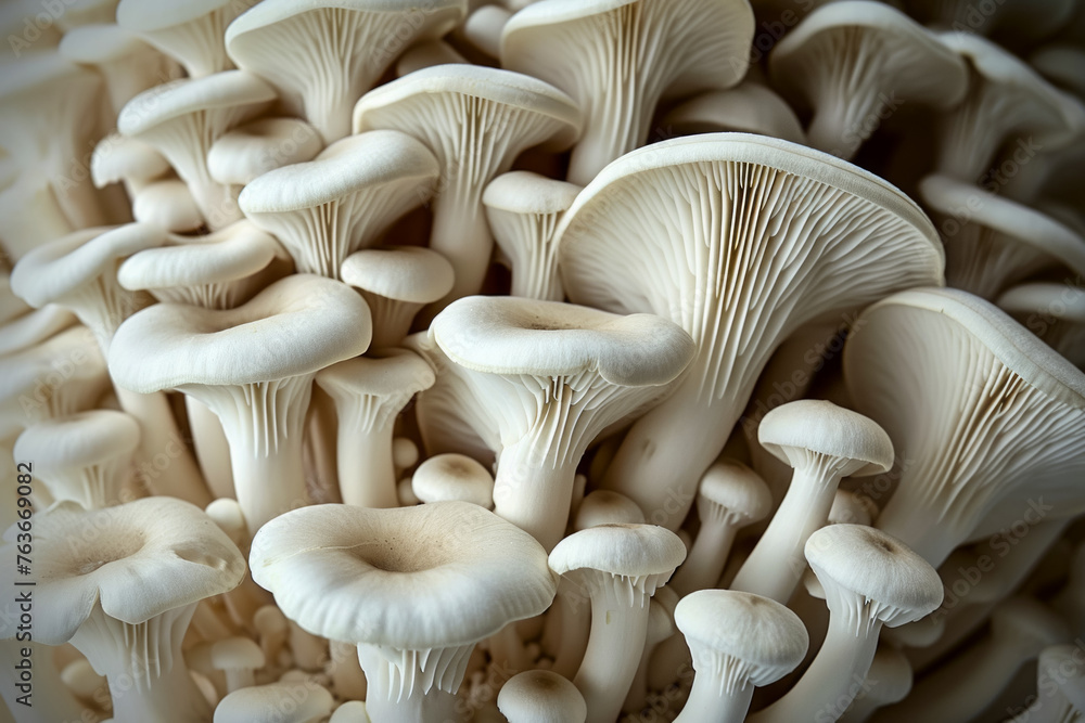 Poster mycelium with mushrooms, side view. backdrop with selective focus and copy space