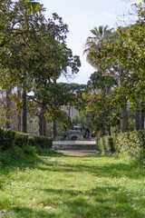 Fototapeta na wymiar Beautiful green walking alley in the park at the villa with tall trees and a fountain