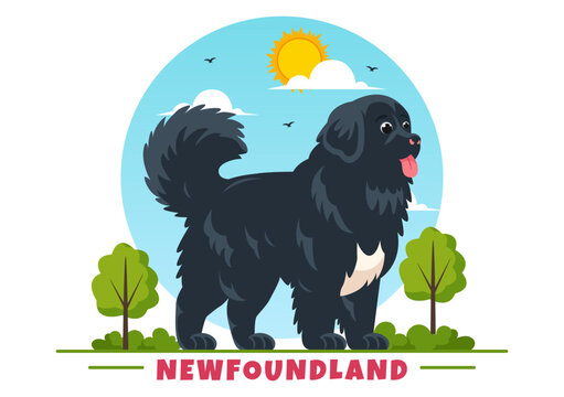 Newfoundland Dog Animals Vector Illustration with Black, Brown or Landseer Color in Flat Style Cute Cartoon Nature Background Design