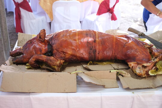 Filipino roasted pig delicacy called lechon.
