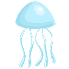 Jelly fish 