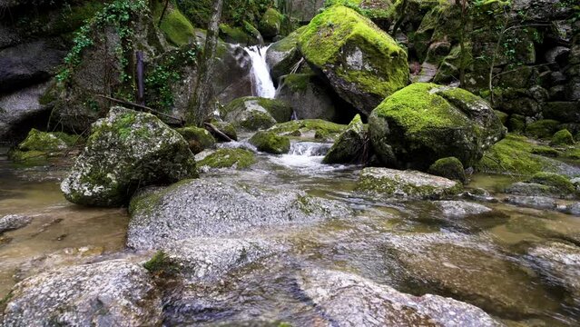 Mossy river rocks with small waterfall in Barrias, Felgueiras Portugal