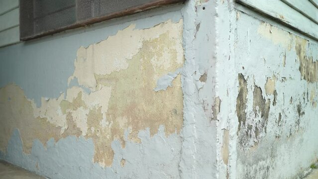 Close-up view of the wall paint peeling off and mold on the wall.