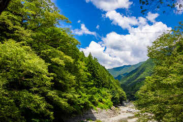 Fototapeta na wymiar 夏の徳島県・大歩危渓谷で見た、祖谷のかずら橋周辺の風景と青空