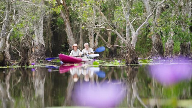 Happy Asian senior couple kayaking together in the lake at mangrove forest on summer holiday vacation. Retired elderly man and woman enjoy outdoor lifestyle travel nature rowing a boat in the river.