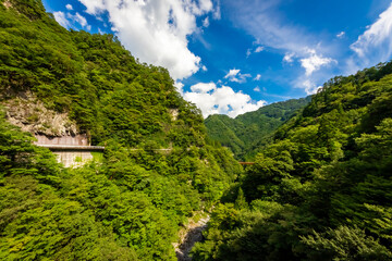 Fototapeta na wymiar 夏の徳島県で見た、大歩危渓谷の風景と青空