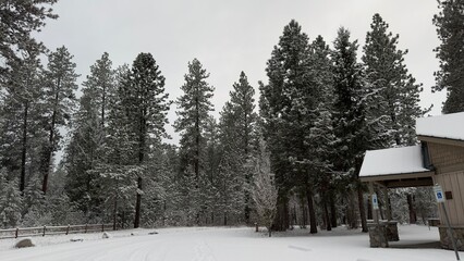 winter in the mountains