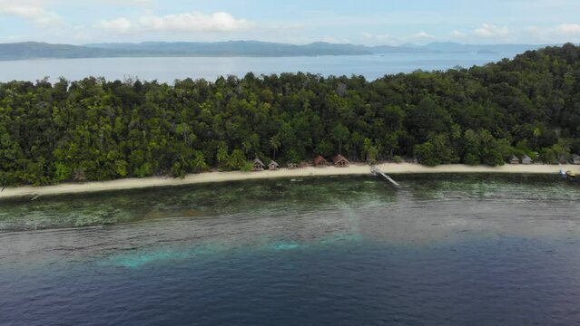 Dense Tropical Forest At Lumba Lumba Guesthouse In Kri Island, Raja Ampat archipelago in Indonesia. Aerial Drone Shot