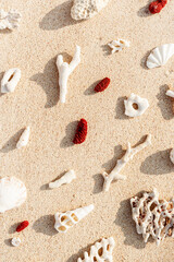 Fototapeta na wymiar Seashells and coral on Beach Sand at sunlight, outdoor nature pattern from variety of shells and red and white coral pieces scattered on light beige sandy sea shore, minimal style environment