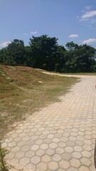 Path, trees, sky and blue
