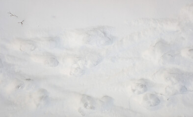 background of white snow under the sun