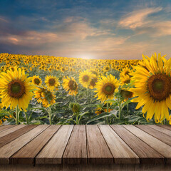 The empty wooden table top with blur background of sunflower field. Exuberant image