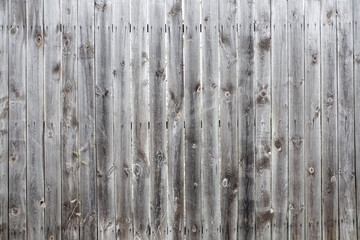 texture of an old gray wooden fence - 763707411