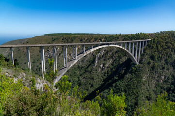 Fototapeta na wymiar Bloukrans Bridge in South Africa