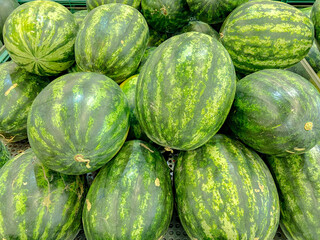 watermelons on the market