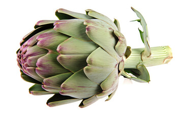 Obraz premium artichoke on white background