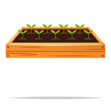 wooden planter box with green seedlings clip art preview
