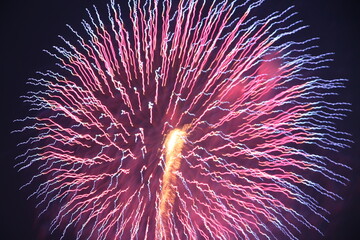 fireworks in the sky