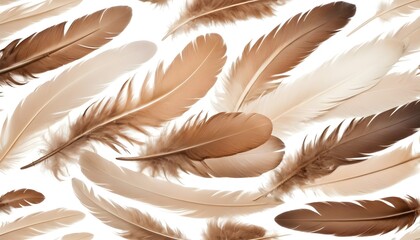 Beige brown feather of bird, on white background