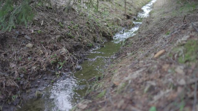 The stream in the forest bed is gaining strength. Awakening nature in spring on a cold morning.