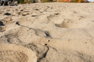 A sandy beach on a sunny day. Beautiful beach.