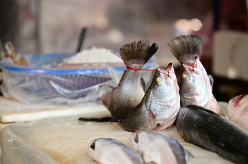 A close-up shot at a market fish stall captures the cruel practice of 