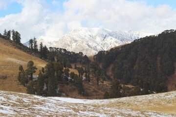 a snow covered mountain of himalayan range in the background of dense forest 