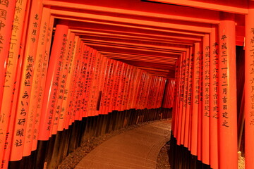 Fushimi Inari Taisha with hundreds of traditional gates at Fukakusa, Yabunouchicho, Fushimi Ward,...