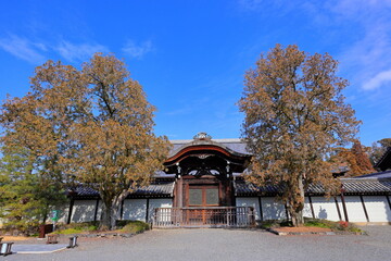 Tōfuku-ji Temple a Buddhist temple known for fall foliage at Honmachi, Higashiyama Ward, Kyoto, Japan