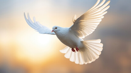 The white dove of peace flies with its elegant wings against the backdrop of sunlight from heaven created with Generative AI Technology