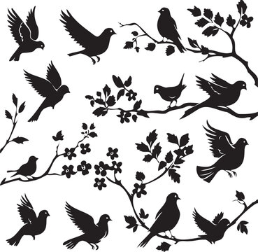 Set of Dove Birds on branch silhouettes 