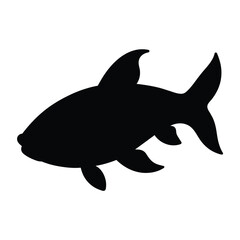 silhouette of a carp fish on white